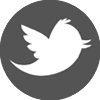 twitter link icon